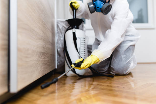 Flea Control Services in Vassar, MI