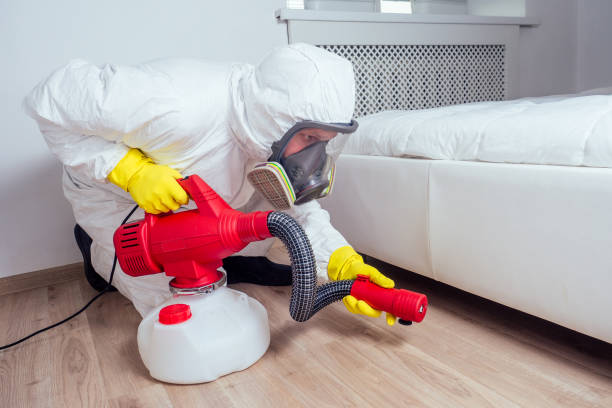 Best Best Pest Control Companies  in Vassar, MI
