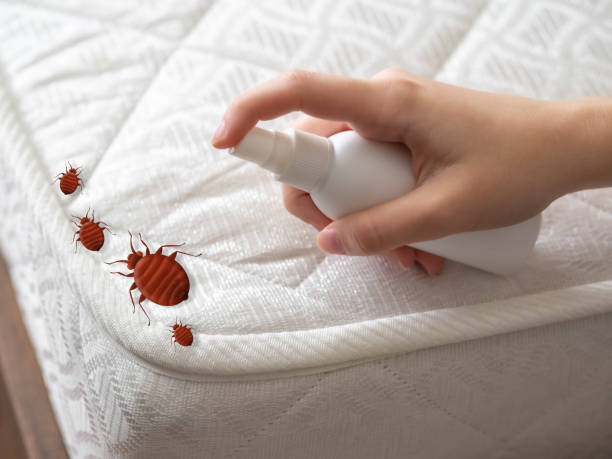 Best Residential Pest Control  in Vassar, MI
