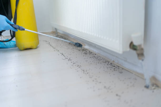 Best Pest Control Near Me  in Vassar, MI