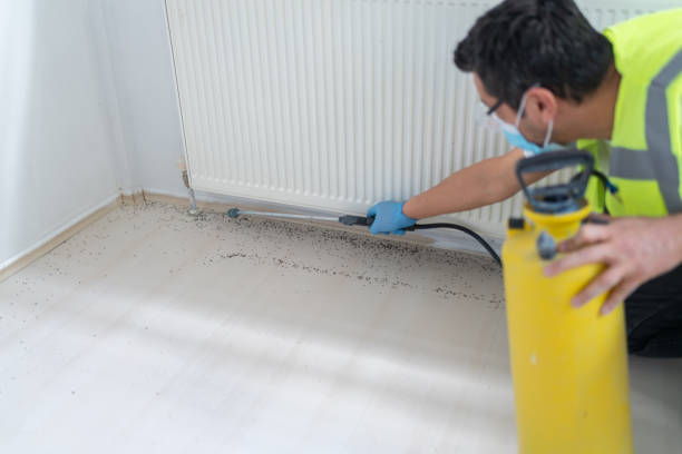 Best Local Pest Control Services  in Vassar, MI