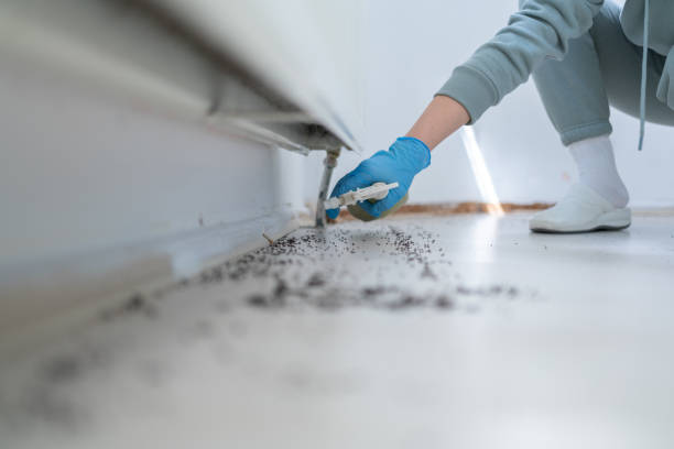 Best Pest Prevention Services  in Vassar, MI